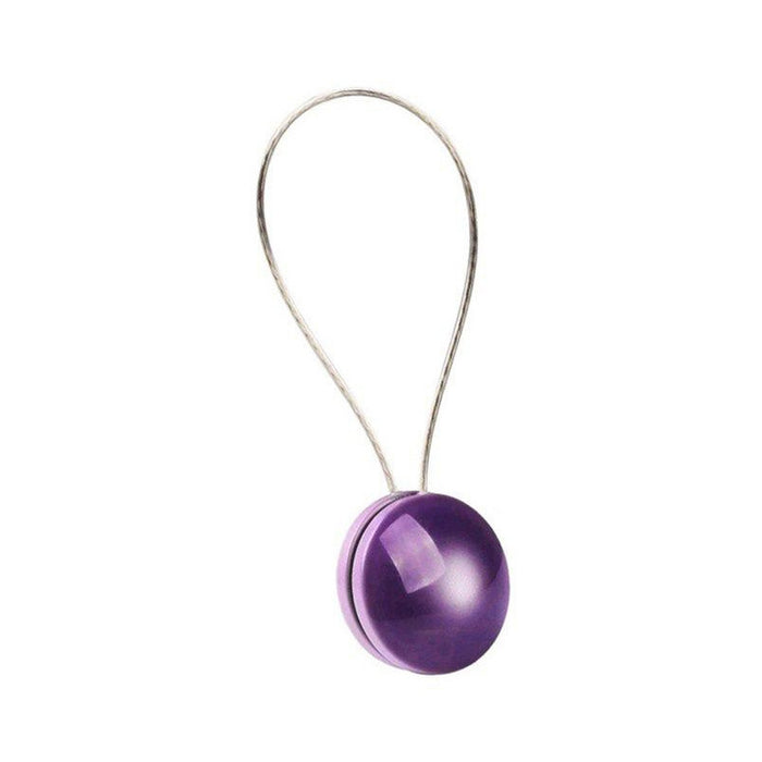 Accessori per tende Gancio per cinturino in acciaio inossidabile con fibbia rotonda decorativa