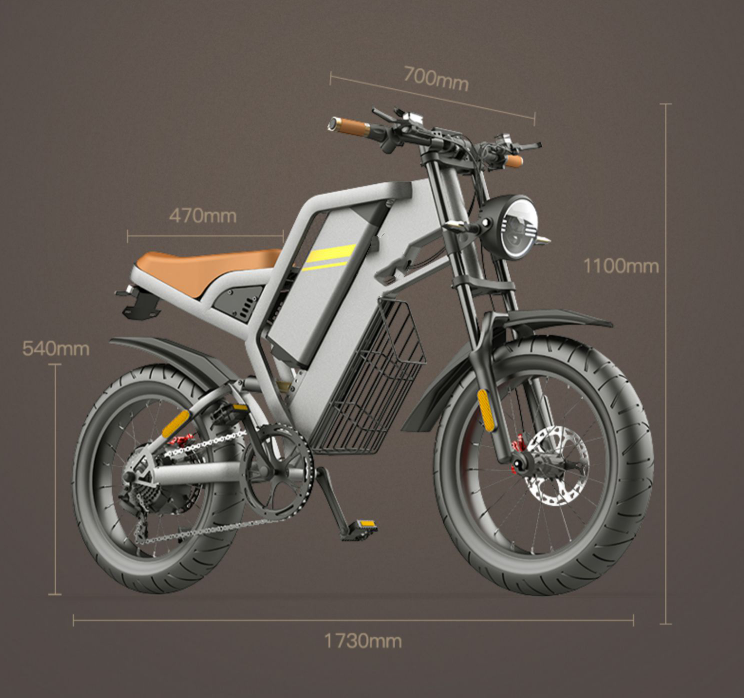 Nuova bicicletta elettrica con pneumatici larghi da 20 pollici e assistenza alla trasmissione a sette stadi