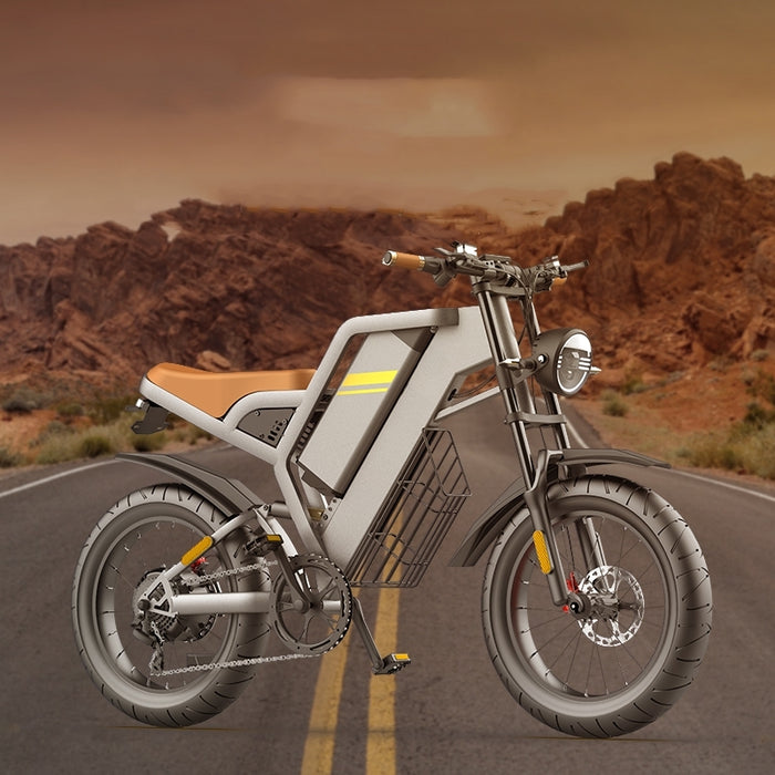 Nuova bicicletta elettrica con pneumatici larghi da 20 pollici e assistenza alla trasmissione a sette stadi