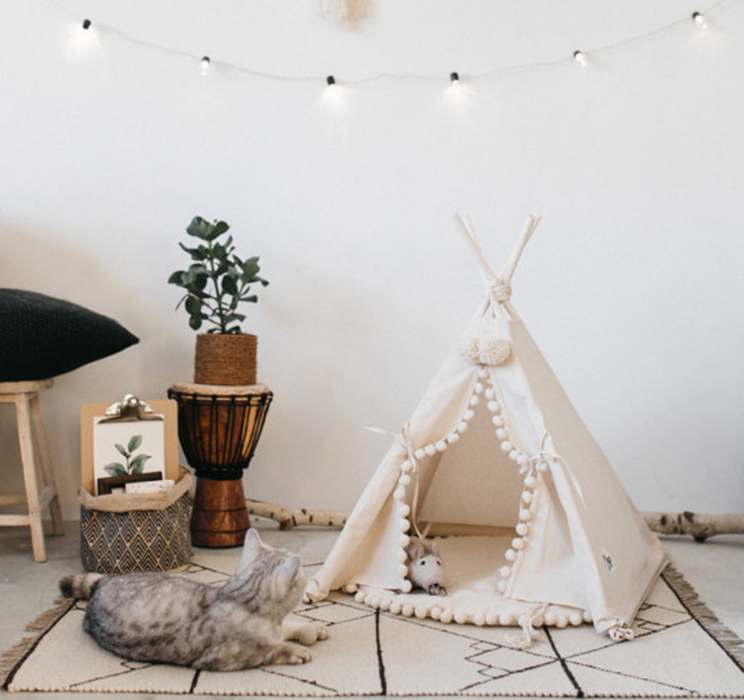 Pet tent bed