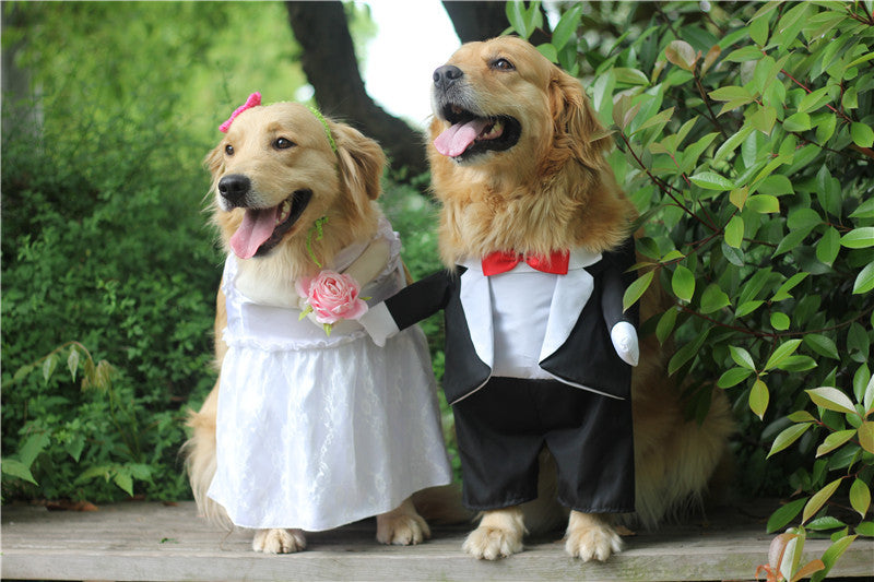 Clothes Pet Dog Suit Pet Cape