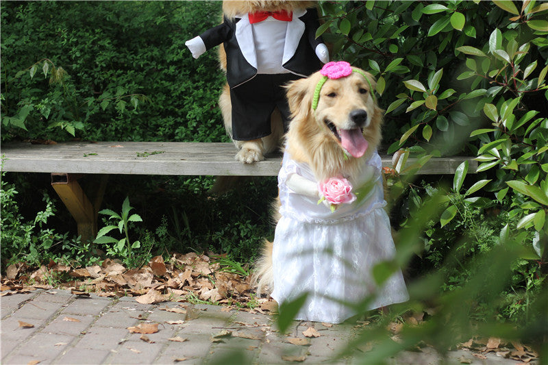 Clothes Pet Dog Suit Pet Cape