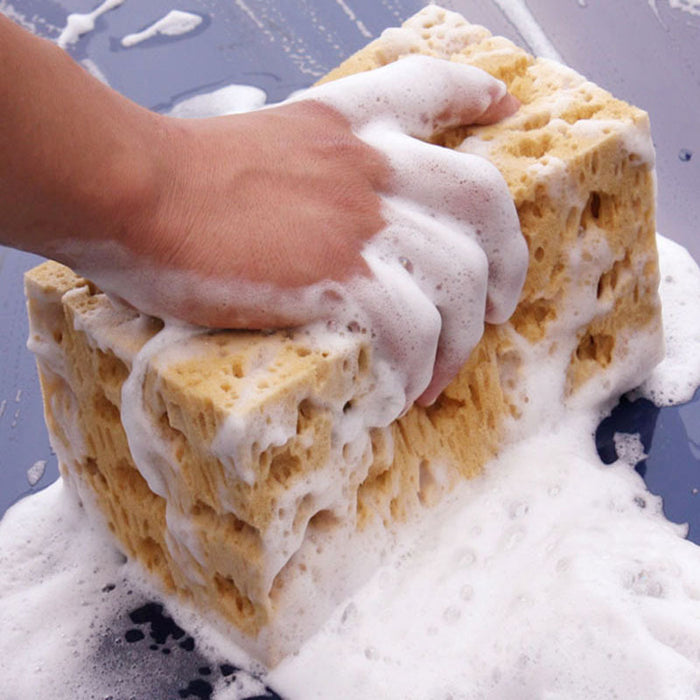 Leistungsstarke Dekontamination High-Density Auto Reinigung Honeycomb Coral Large Schwamm
