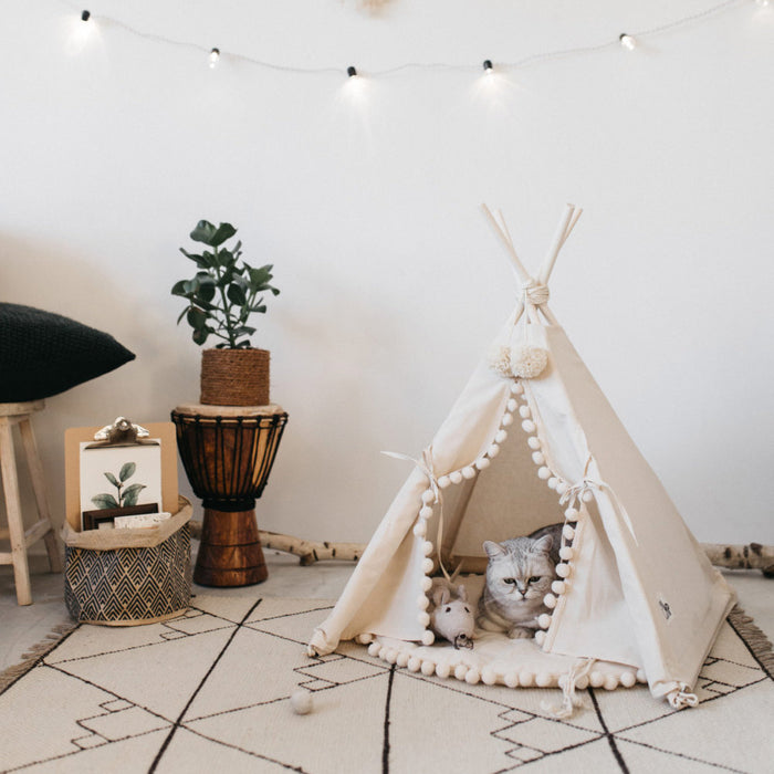 Pet tent bed