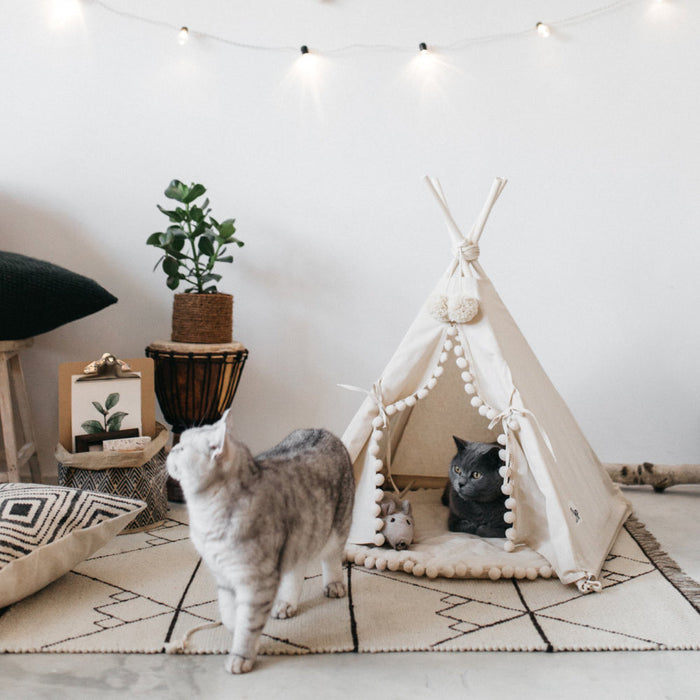 Pet tent bed