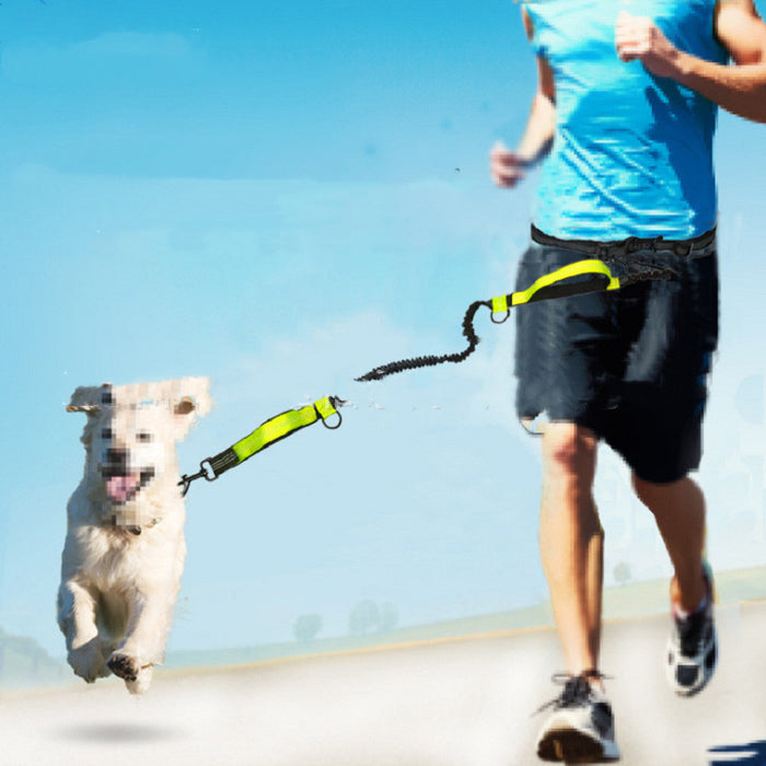 Pet Products Haustier-Zugseil Multifunktional
