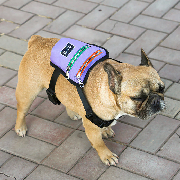 Haustier Hund Outdoor Travel Backpack